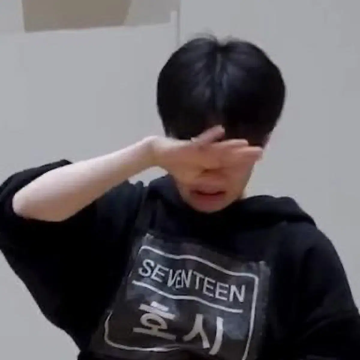 Seventeen merch disposal wts sell