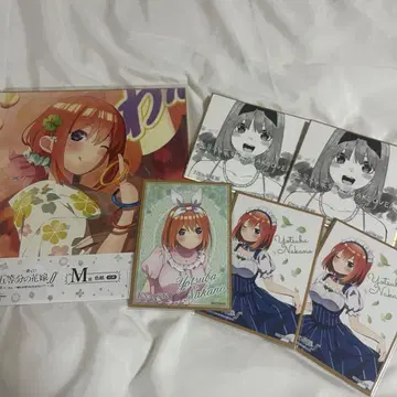 5등분의 신부 색지 나카노 네잎 5등분의 신부전