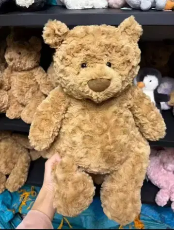 브라운 곰 봉제 인형 본체*5