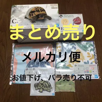 제일복권 파충류 & 양서류 ~Tiny Friends~ vol.2