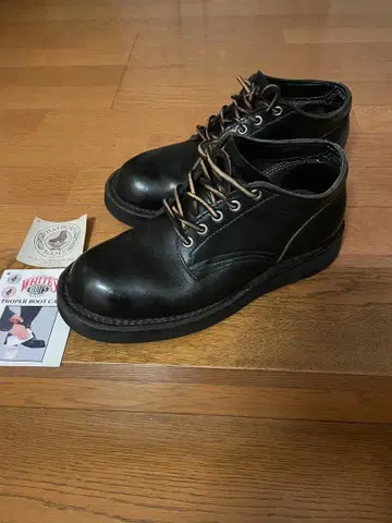 네펜데스 별주! HATORN 부츠