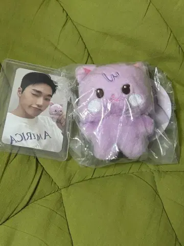 ATEEZ 팝업 CALLING 산 봉제 인형