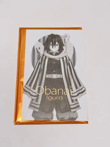 귀멸의 칼날 기둥전 그리고 무한성으로 KV 컬렉션 사진 코가츠