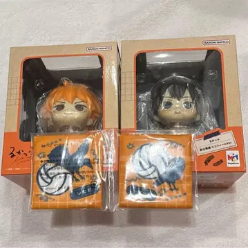 하이큐!! 룩업 히나타 쇼요 카게야마 토비오 세트