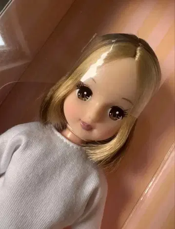 고베 산노미야 basic 모델 아키짱V2