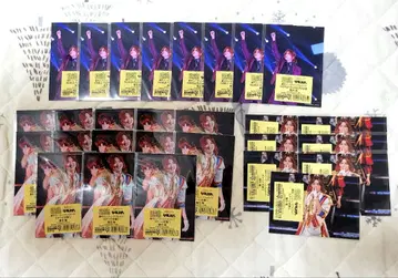 츠키스테. 하즈키 요 극중 트레이딩 브로마이드