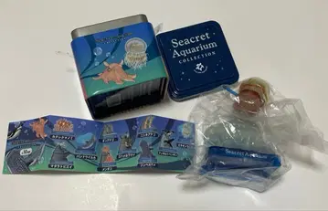 시크릿 아쿠아 컬렉션