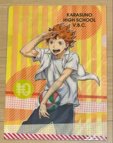 하이큐!! 클리어 파일 2장 세트 히나타 쇼요 카게야마 토비오 쇼와노트