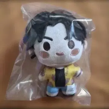 BTS 인더섬 정국