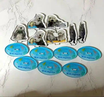 도바 수족관 가챠 Kira&May 패널 스탠드 랏코 시크릿