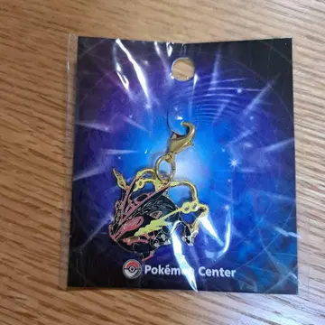 포켓몬 블랙 메가레쿠자 메탈 참