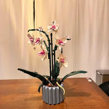 LEGO 팔레놉시스 Botanical Collection 오키드 (꽃)