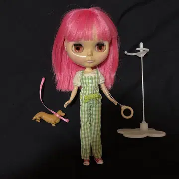 브라이스 인형 심플 리그 과바