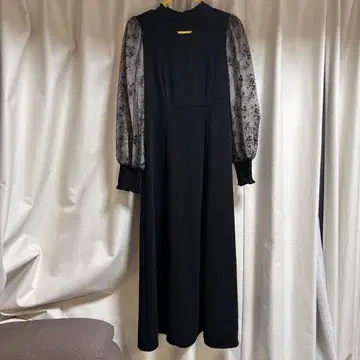 안드레스드 sleeve embroidery dress