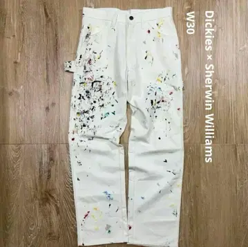 Dickies Sherwin Williams W30 페인터 야마다 렌