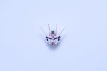 RG 스트라이크 루즈 I.W.S.P. 머리