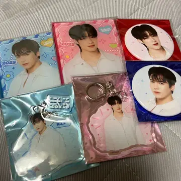 dmd maxnat 아크링 키링 캔뱃지 브로마이드