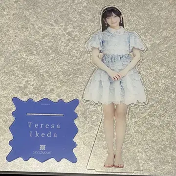 노기자카46 이케다 에레나 2024년 개별 랜덤 BIG 아크릴 스탠드