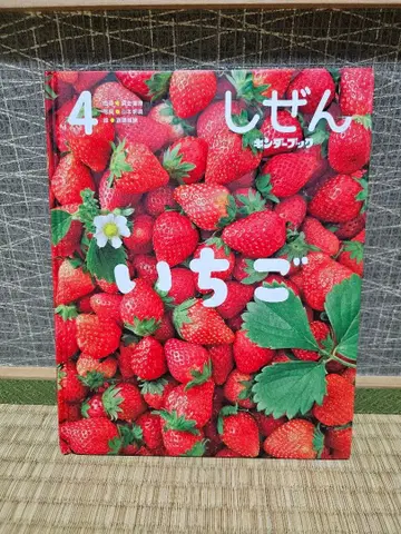 킨더북 자연 딸기