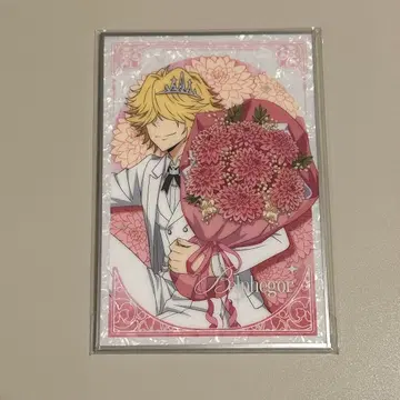 가정교사 히트맨 REBORN! 벨 페 고르 꽃다발의 약속 색지