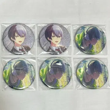 프로세카 그리캔 아오야기 토야 33B 34B