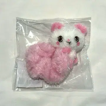 NCT WISH 서울 콘 스크런치 사쿠야