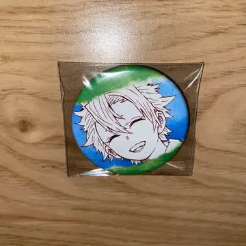 시나즈가와 사네미 어린 시절 푸치 캔뱃지