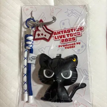 야기 유세이 멘프로 쿠이 참