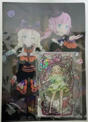 하스노소라 오오사와 루리노 아크릴 스탠드 클리어 파일 세트