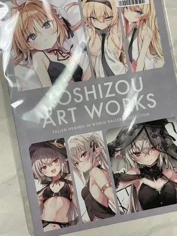 토시조 선생님 WGC ~ fallen heaven ~ 기념 전시회 책자