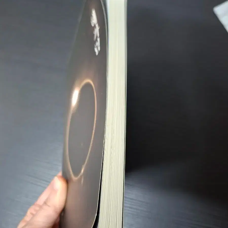 인소의 법칙 외전 해가림 소설책 판매