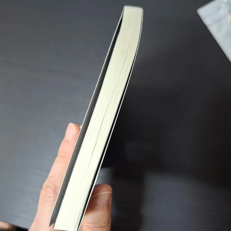 인소의 법칙 외전 해가림 소설책 판매