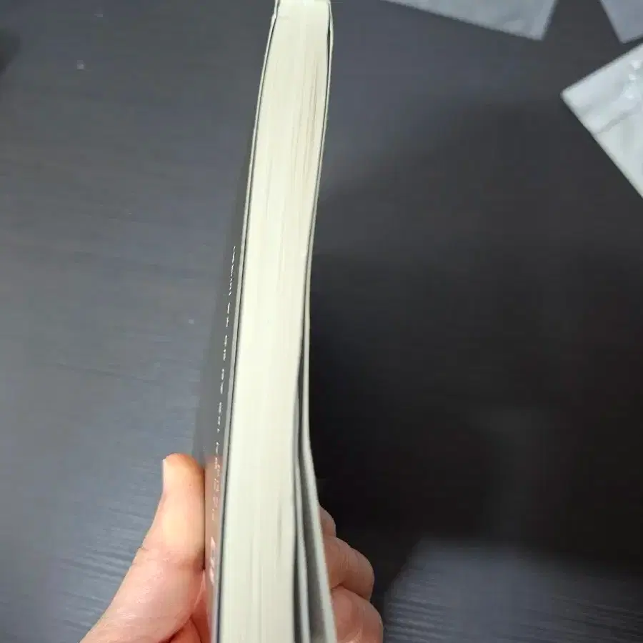 인소의 법칙 외전 해가림 소설책 판매