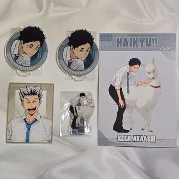 하이큐!! 토부 동물공원 2025