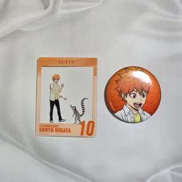 하이큐!! 토부 동물공원 2025 히나타 쇼요