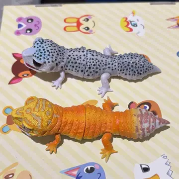 BEST 레오파와 크레스 01 탠저린 렌퍼 02 갤럭시