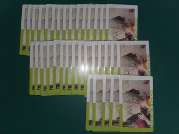 프로세카 에피카 시호