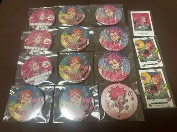 사루카와 케이 카리스마 간보 투어 카리스마 본 축제 캔뱃지 세트