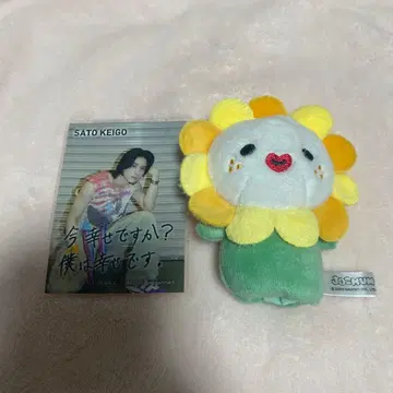 JO1 사토 케이고 JOCHUM bira 손가락 인형