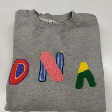 BTS DNA 자수 그레이 맨투맨 M