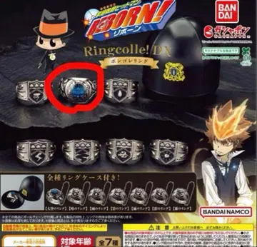 가정교사 히트맨 REBORN! 하늘의 봉고레 반지