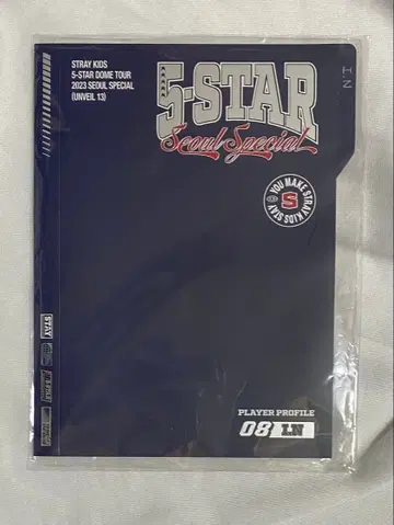 StrayKids 5star 서울콘 아이엔 프로필 세트