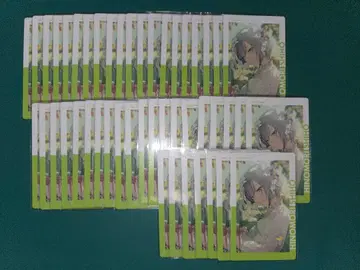 프로세카 에피카 시호