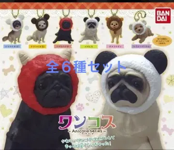 원코스 가챠 치와와 퍼그 포메라니안