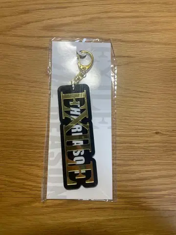 [ ETS 한정판 ] THE REASON 키링 EXILE