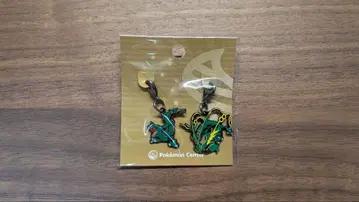 포켓몬 메탈 참 메가레쿠자