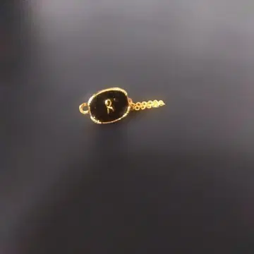 Roberta 로베르타카메리노 핀 배지 넥타이핀 레어