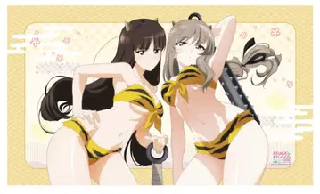 걸즈 앤 판처 니시즈미 시호 시마다 치요 담요