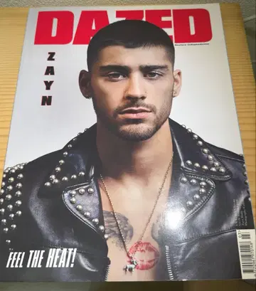 DAZED 제인 말리크 2016 summer