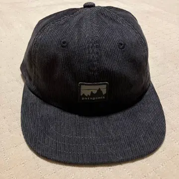 Patagonia 코듀로이 캡